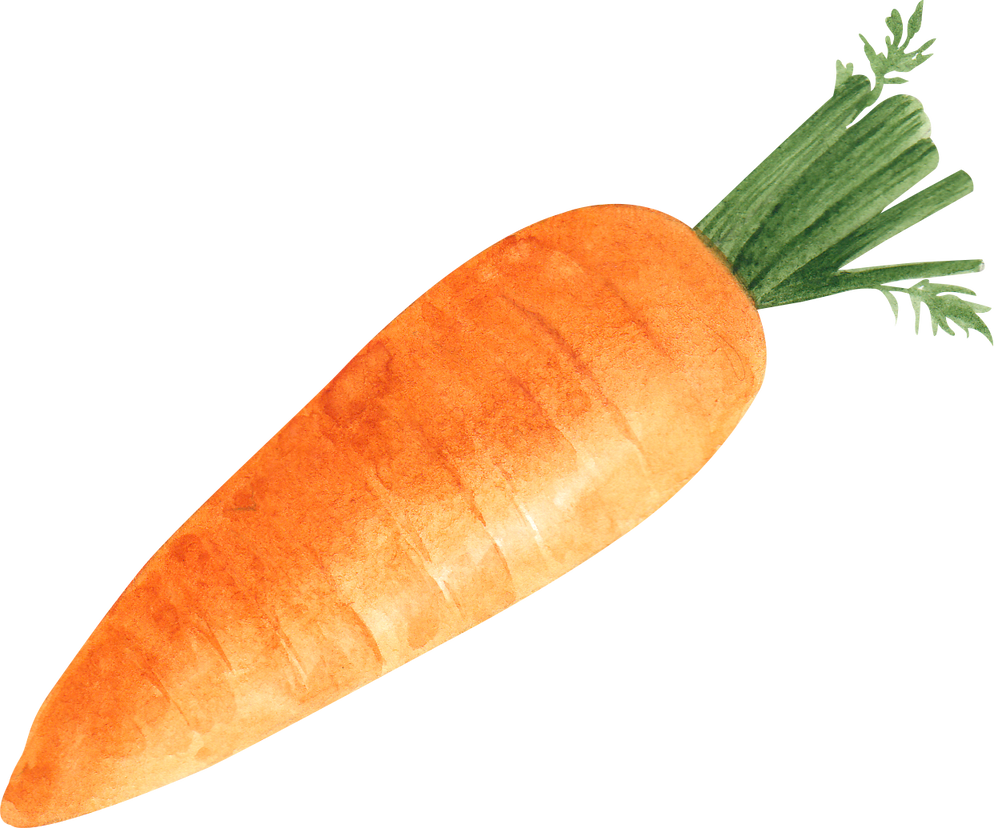 Watercolor Carrot Vegetable